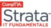 logo_strata